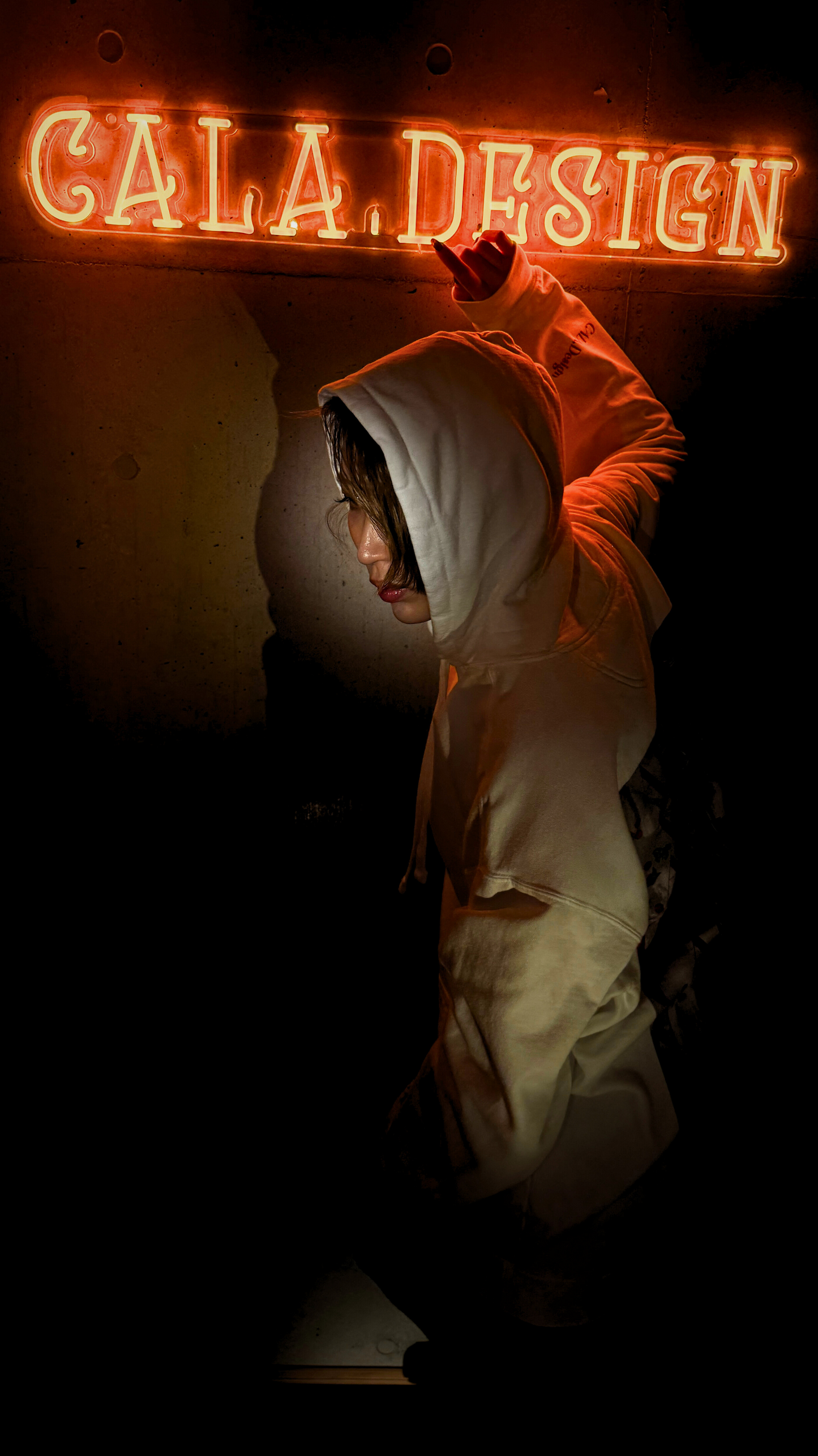 "You are toxic !" Pullover hoodie 5colors
