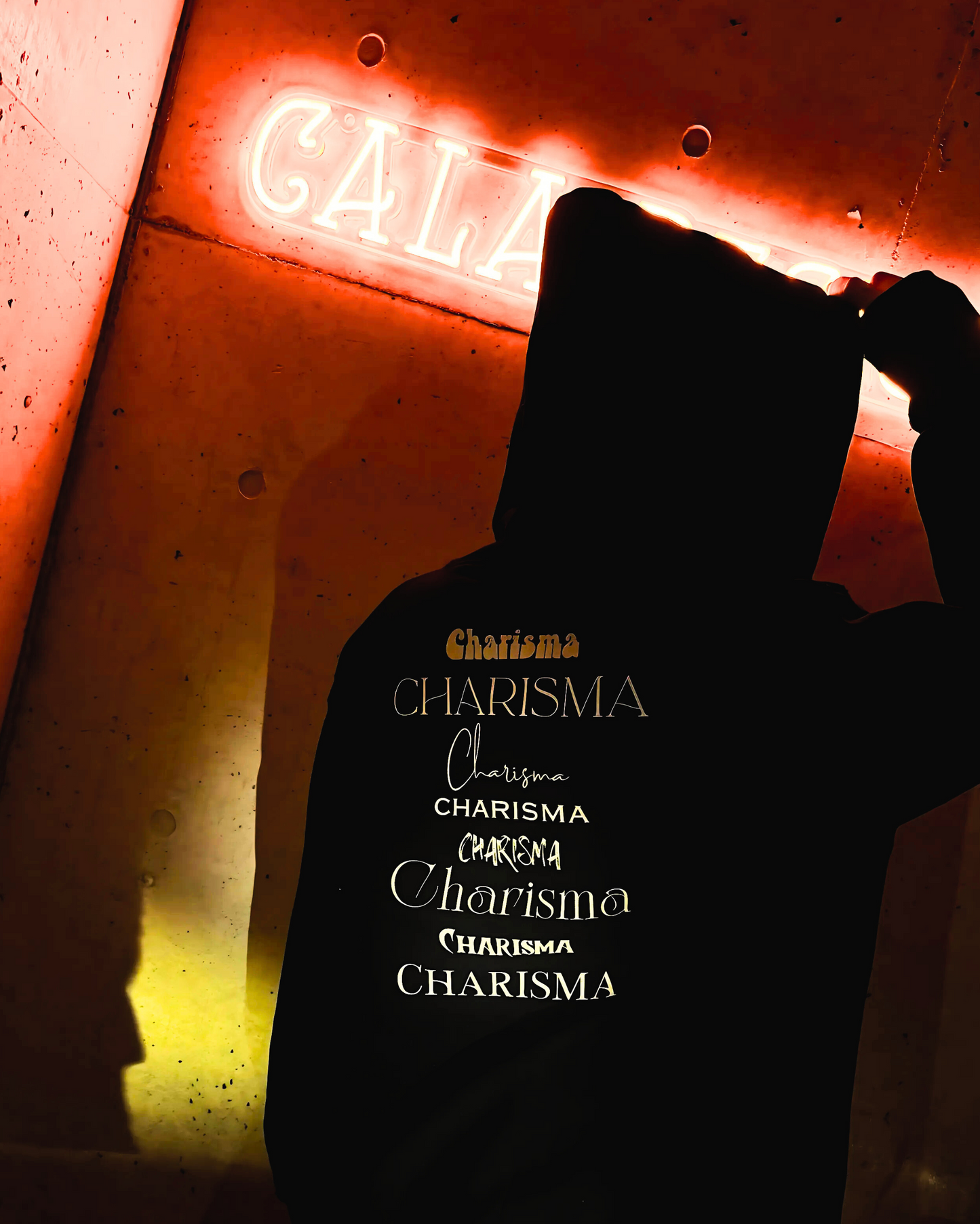 "I am Charisma" Zip Hoodie SB