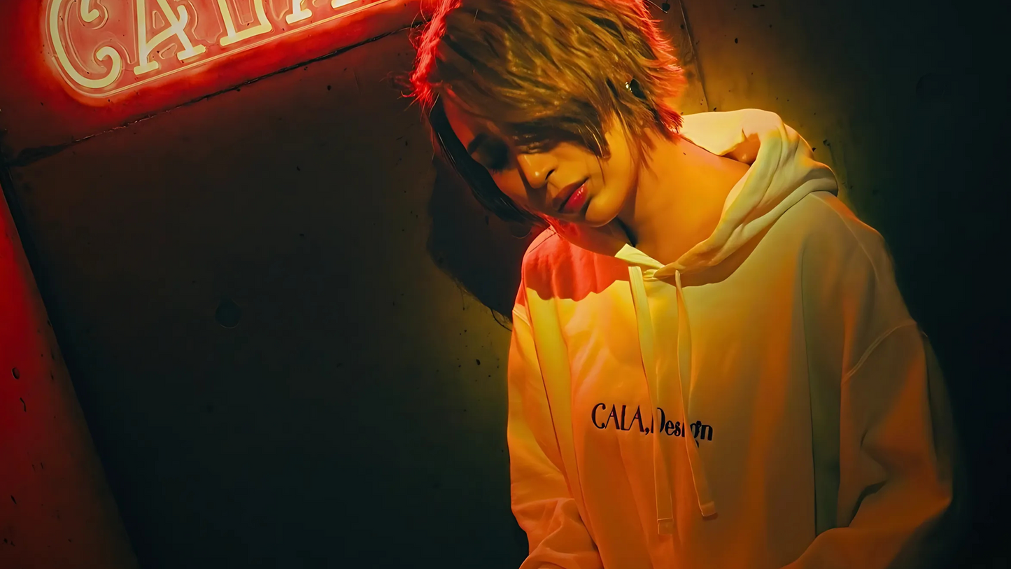 "You are toxic !" Pullover hoodie 5colors