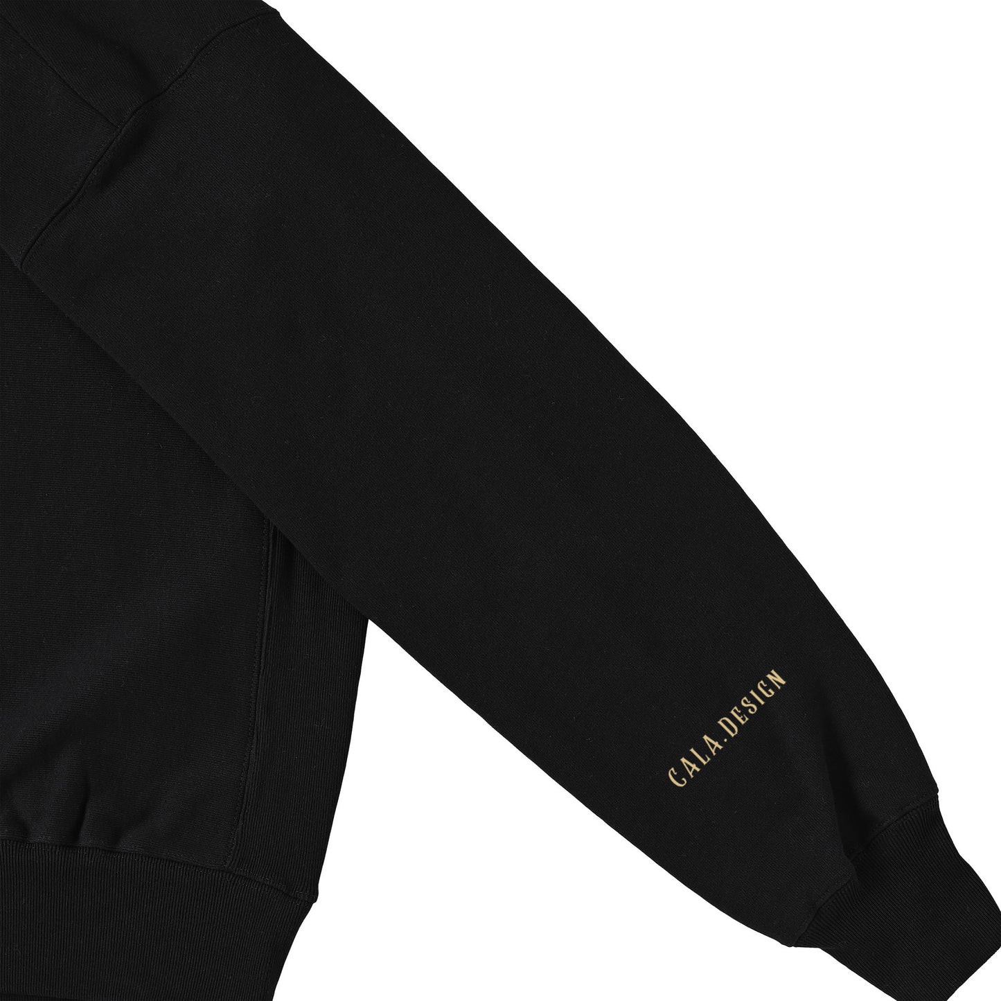 "I am Charisma" Zip Hoodie SB