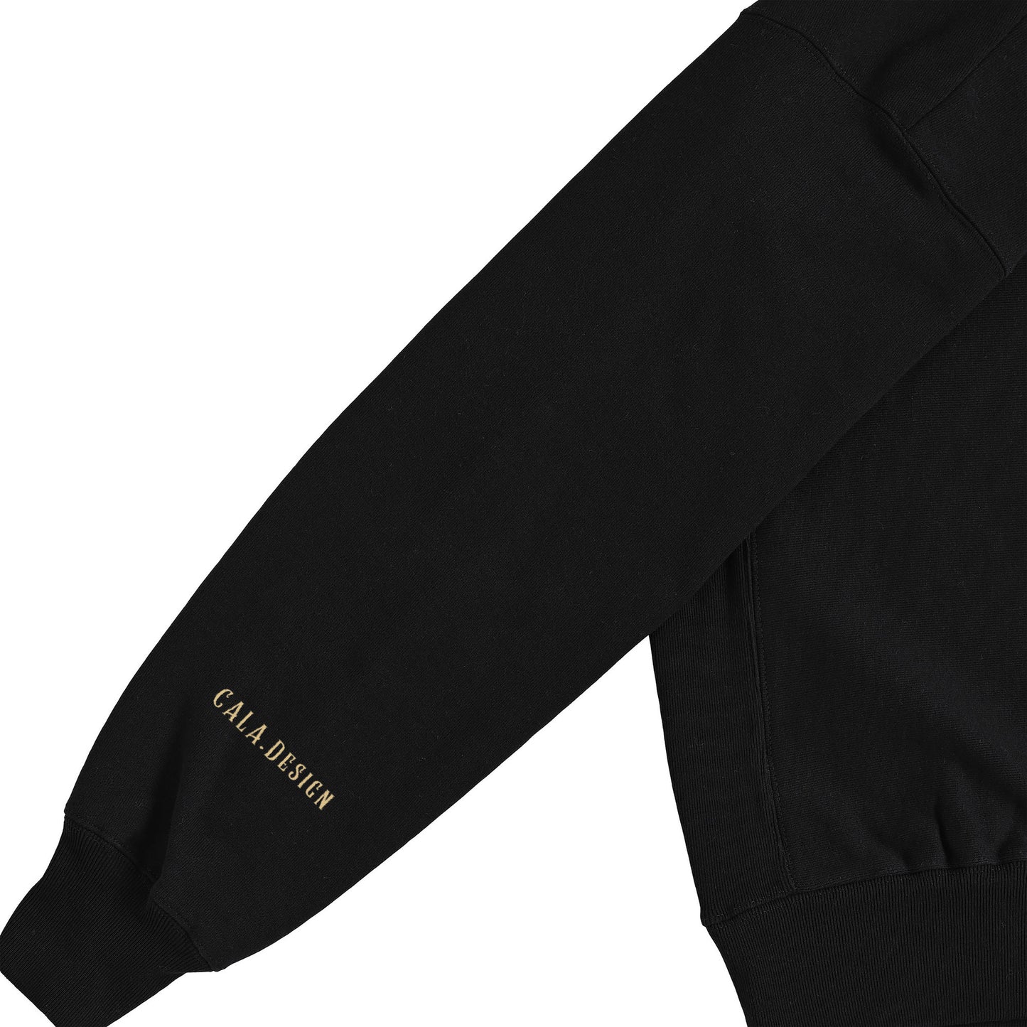 "I am Charisma" Zip Hoodie SB