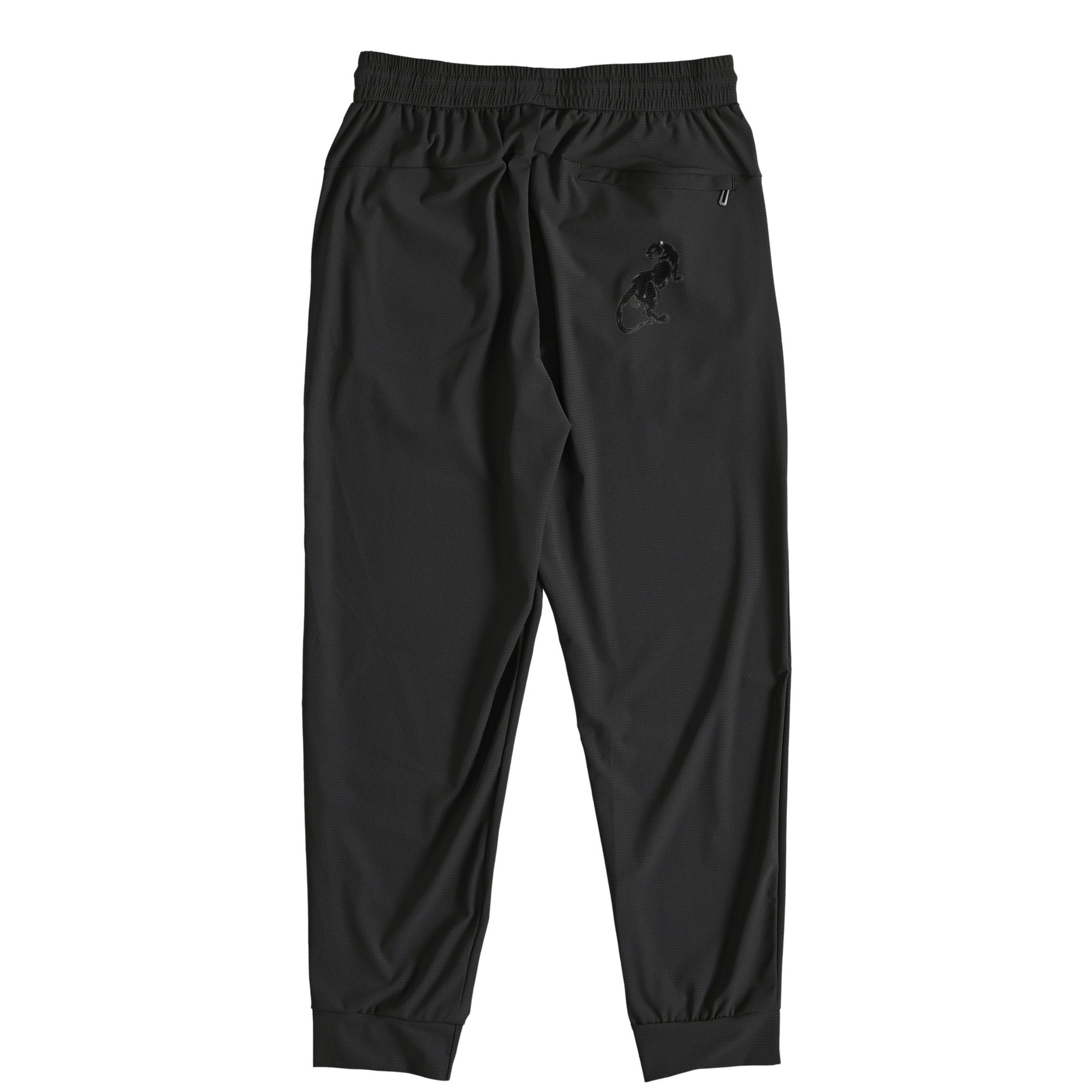 "Active Shield Pants" 3 colors black image