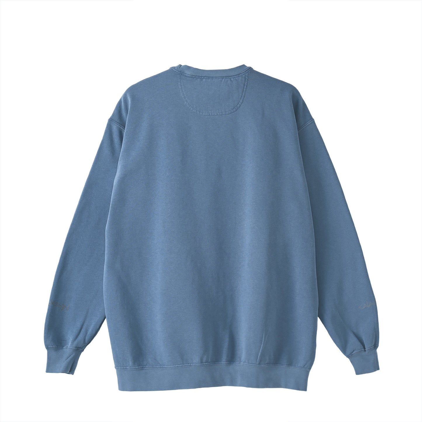 "Let's extract" Sweat 5 colors blue image