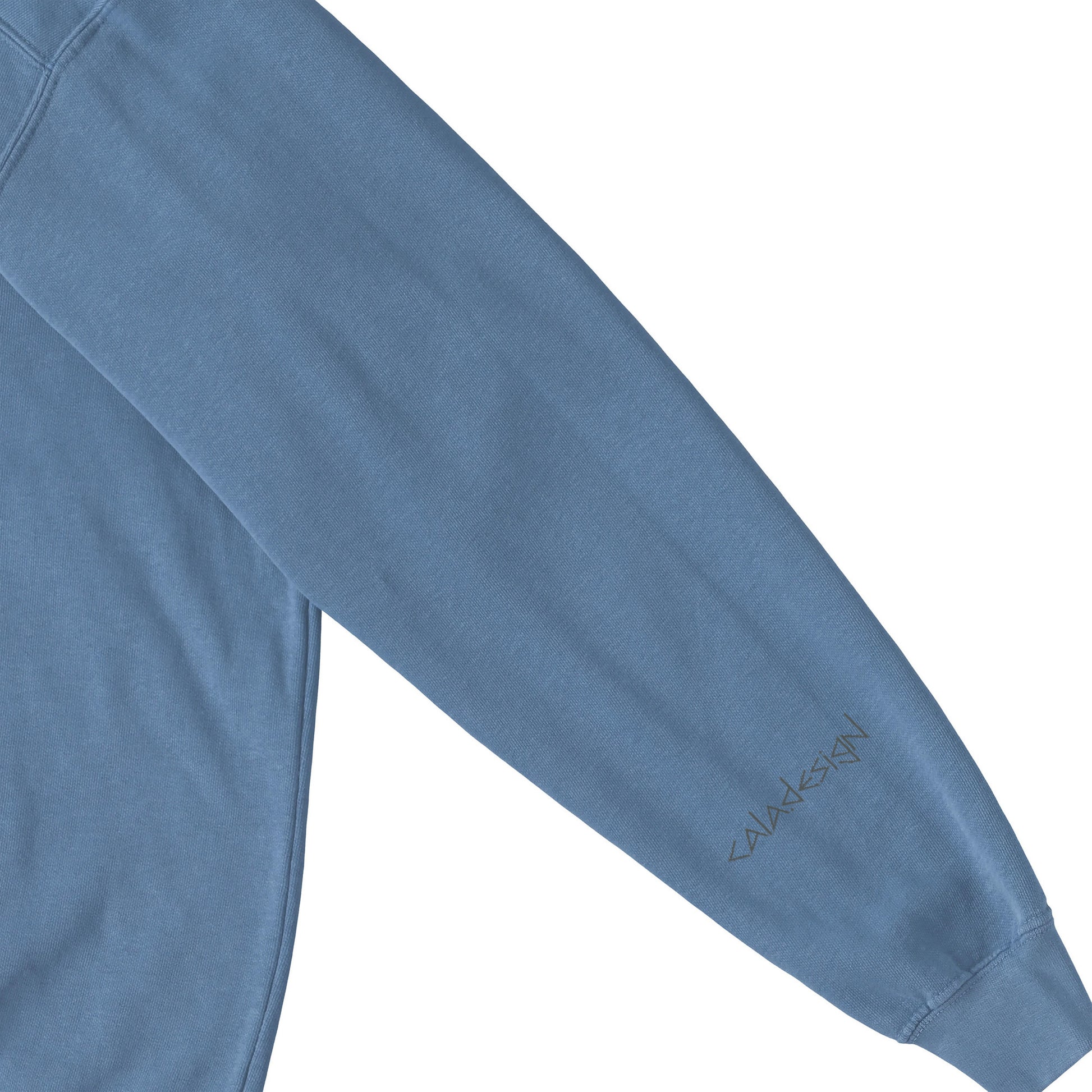 "Let's extract" Sweat 5 colors blue image