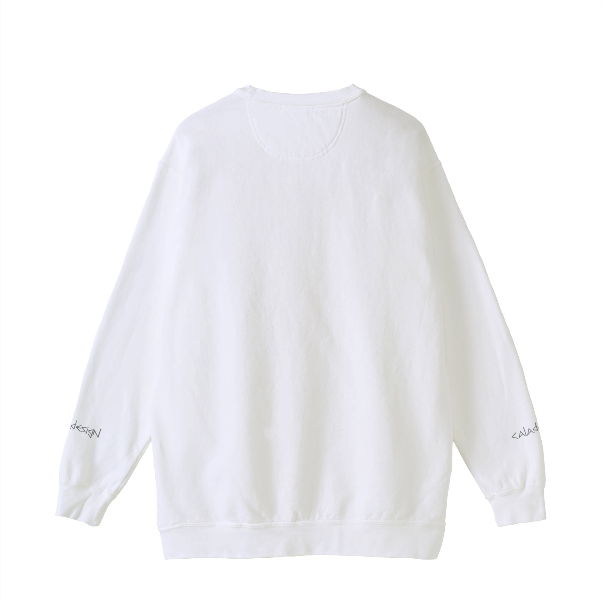 "Let's extract" Sweat 5 colors white image