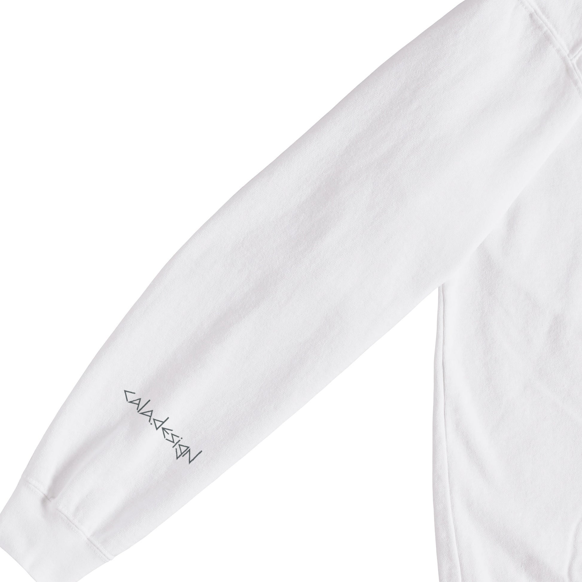 "Let's extract" Sweat 5 colors white image